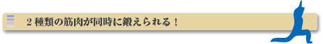 ２種類の筋肉が同時に鍛えられる